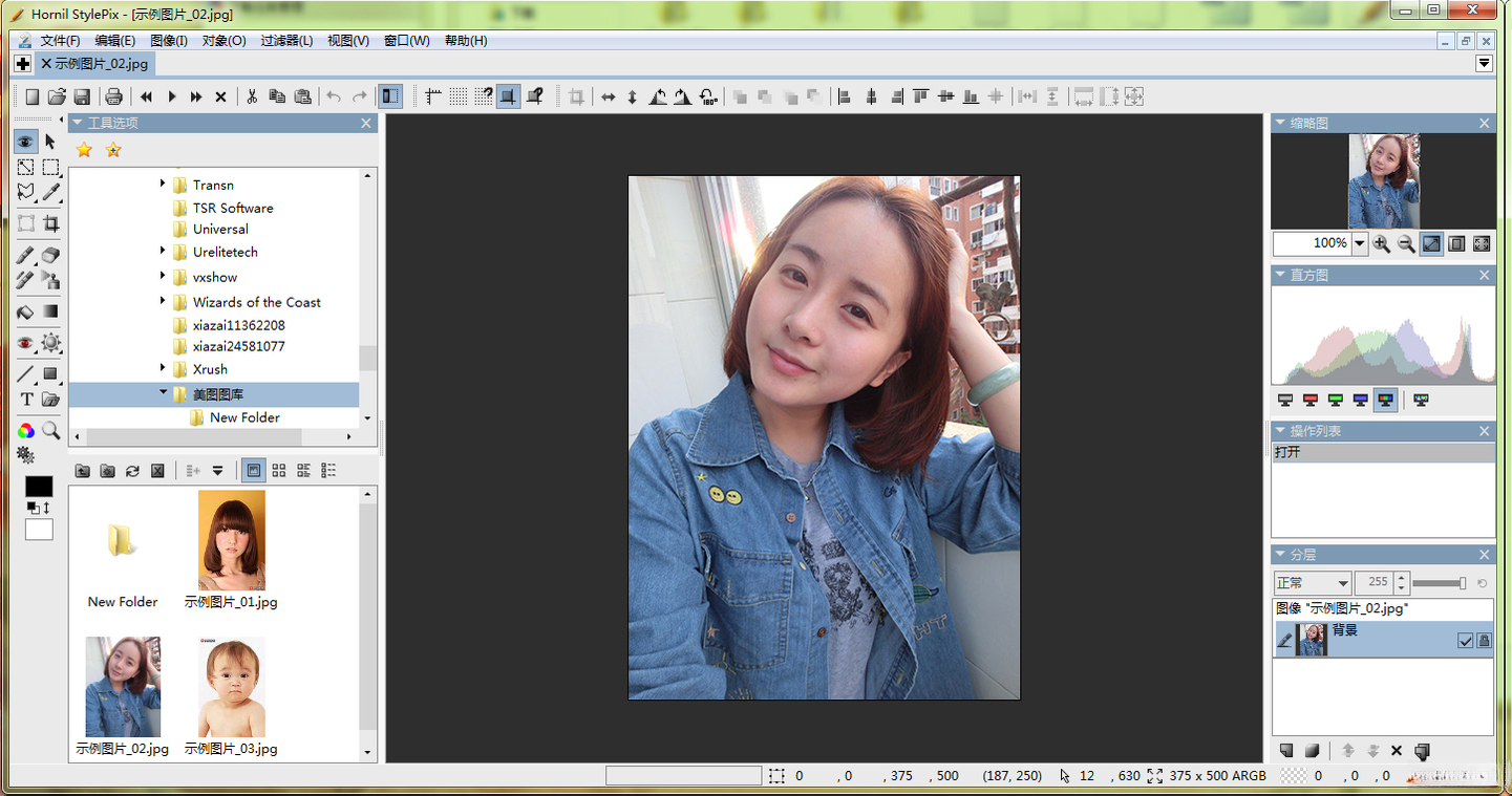 Hornil StylePix4.0.0.90 图像处理