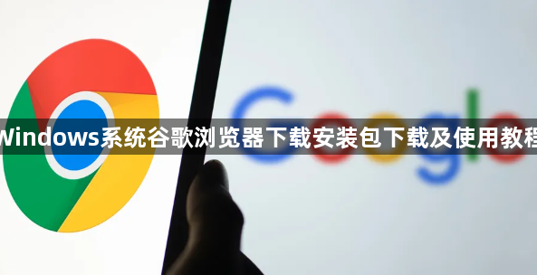 谷歌浏览器 开发版 电脑版 下载 使用教程
