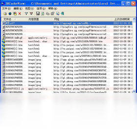IECacheView 使用教程 安卓版 下载