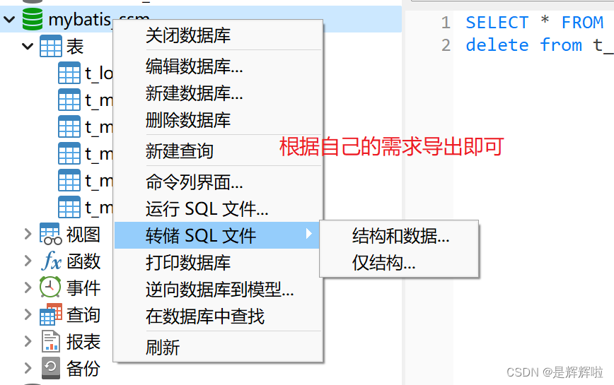 数据库备份/恢复工具 新手操作界面 简单易用