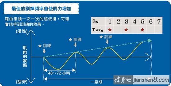 微恢复训练频率安排建议
