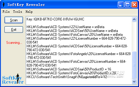 SoftKey Revealer��Կ�鿴��1.0.0 ��ɫ��