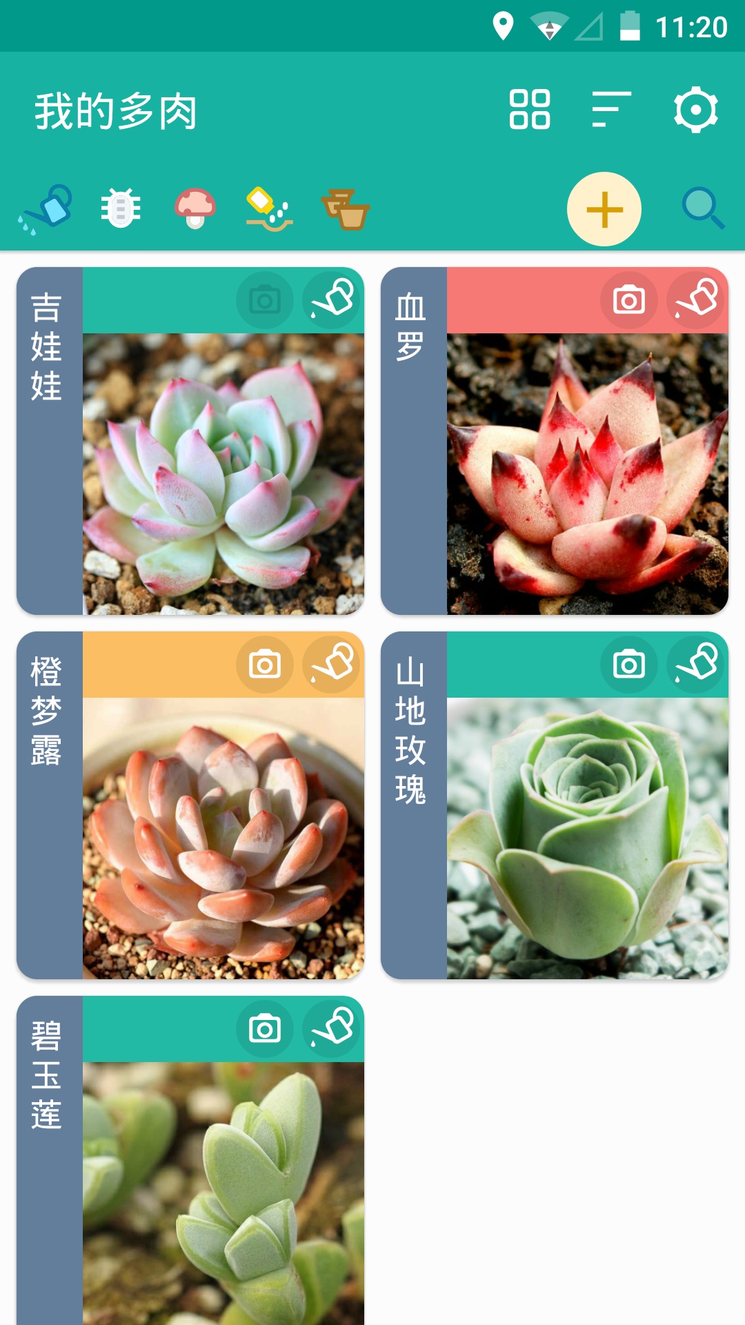 多肉花草成长日记安卓版 界面截图
