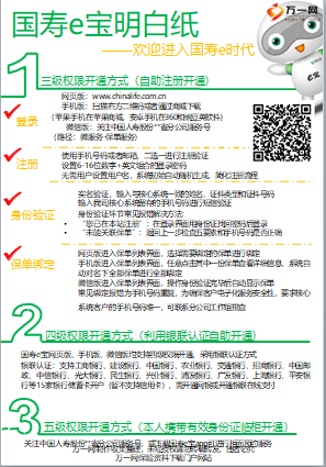 中国人寿寿险(国寿e宝)官方下载与保单查询操作流程示意图