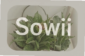 Sowii����ʵ��ָ���빦���������