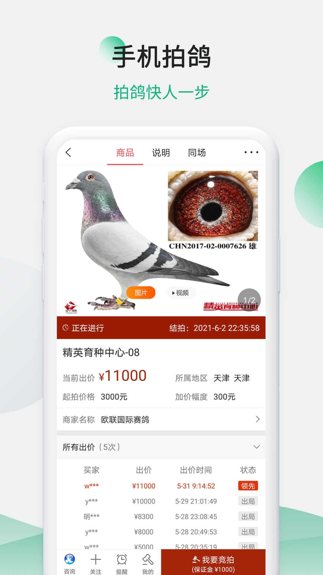 中信网app赛鸽直播平台-中国信鸽信息网 下载注册页面截图