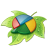 �þ������Ա�����װ��CSS��Ч����������{package_version_name} �Ա�װ����Ч����