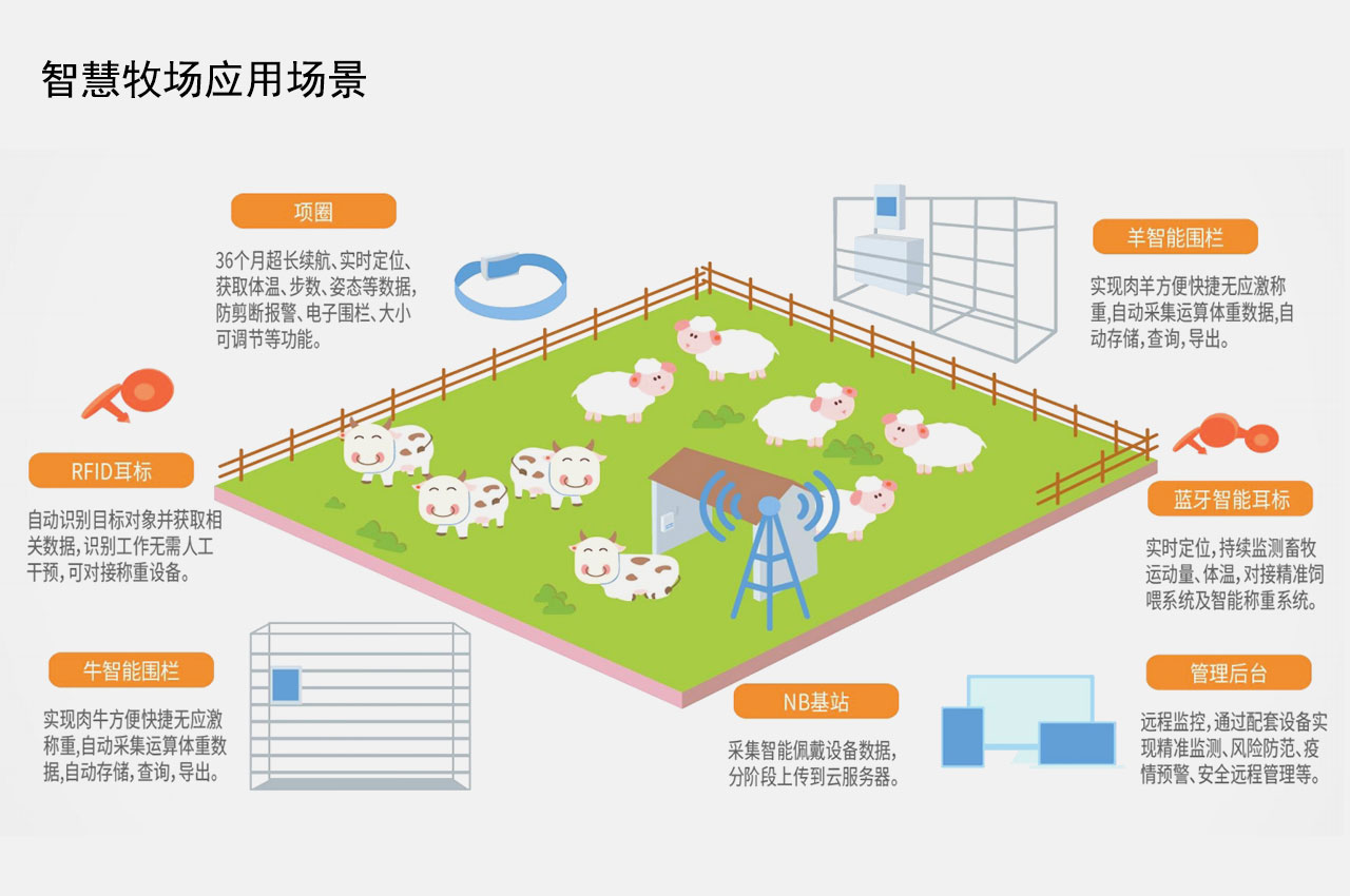山猪QQ性别查询过滤工具在电脑端和手机端使用场景对比图