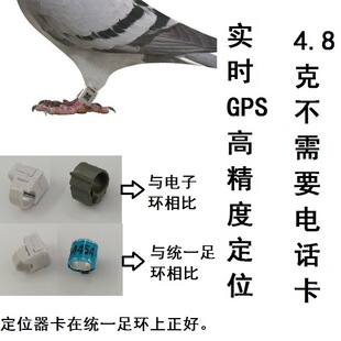 咕咕信鸽app 实时飞行轨迹地图 速度高度数据展示