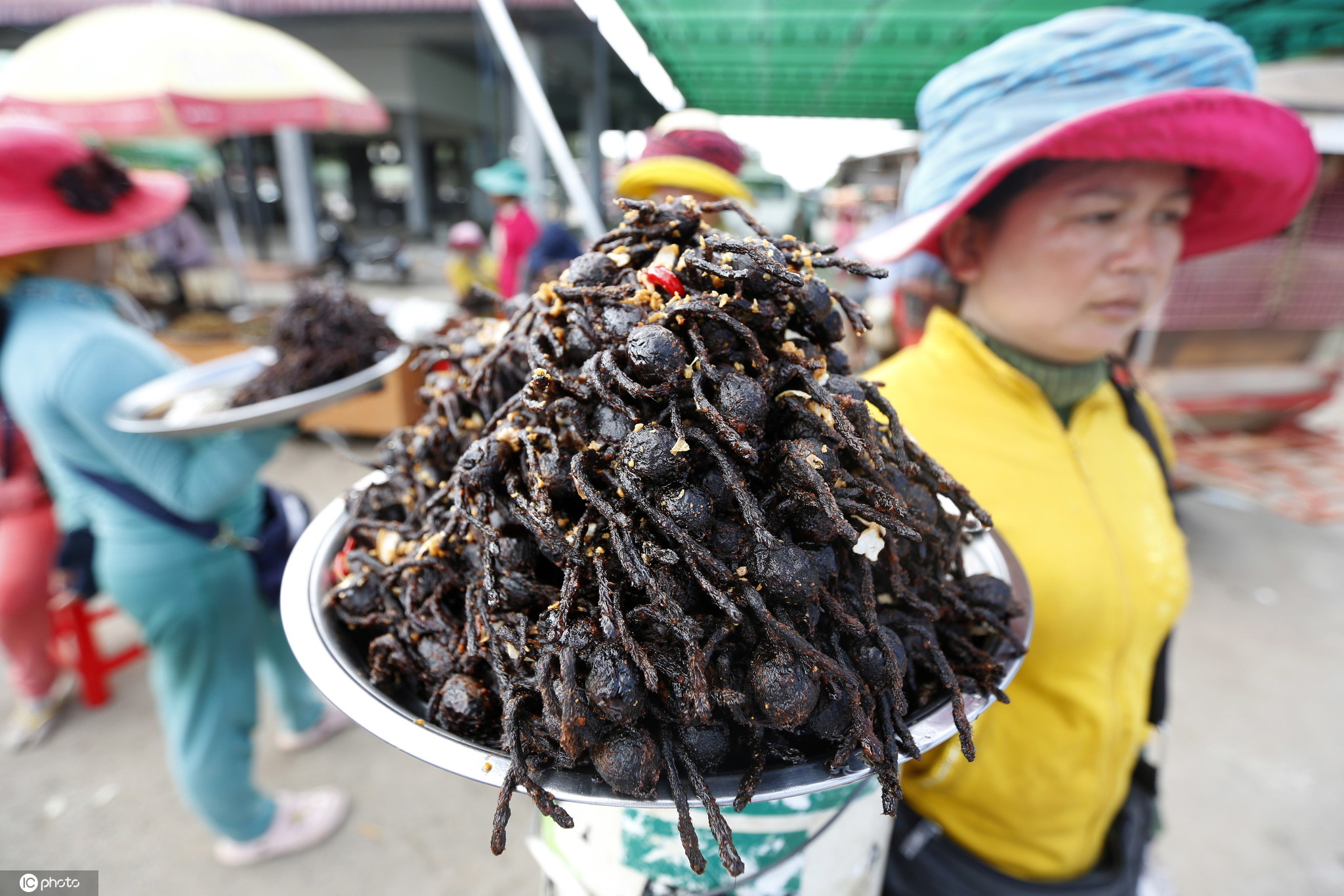 食之奇趣炸蜘蛛活珠子奇葩美食图片