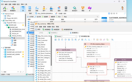 Navicat for PostgreSQL{package_version_name} 数据库管理工具