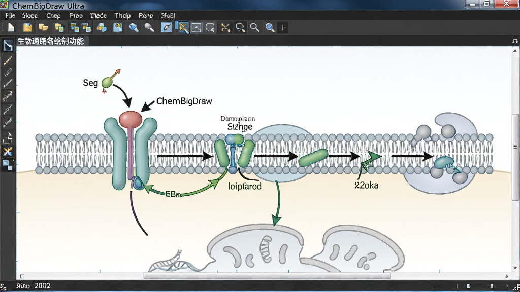 ChemBioDraw Ultra 软件中生物通路绘制功能的示意图,主体为细胞膜上的受体蛋白与信号分子结合的通路图,布局为水平展开的信号传递路径,风格为生物医学插图,细节包含箭头、磷酸化标记、细胞器轮廓和软件绘图工具,画质清晰,画面干净,无多余元素