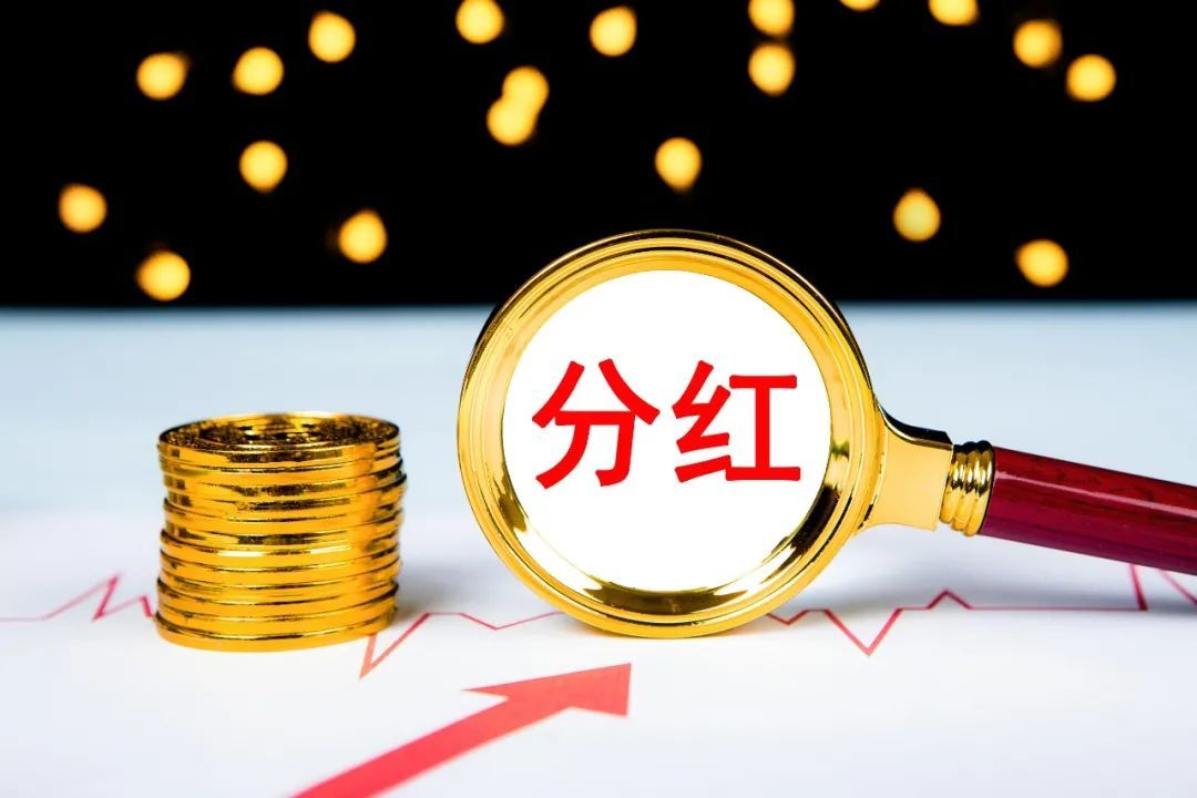 国瑞金资投资价值分析 估值与分红数据配图