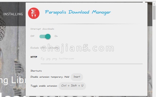 Persepolis Download Manager 浏览器扩展接管下载设置界面
