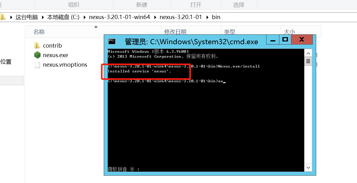 Nexus Rumble安装器 安卓版 操作界面