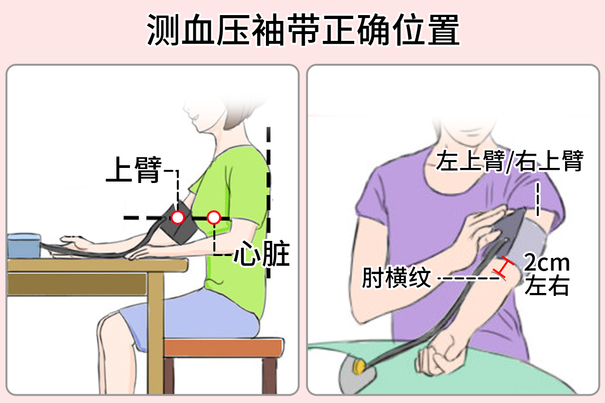 飞利浦灵析家用医疗设备Philips 袖带尺寸选择 家庭测量血压正确姿势示意图