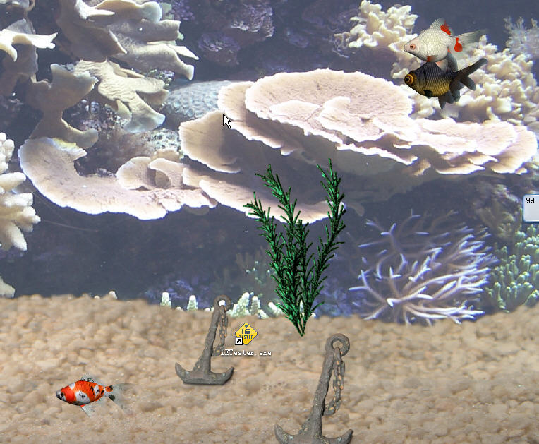动态水族馆桌面{package_version_name} 桌面动态壁纸