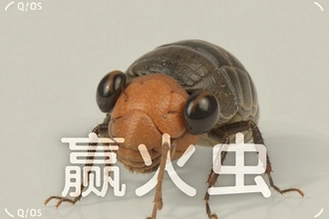 Ӯ��淨�ɷ���ƽ̨�ɿ�����ʵ�û�����