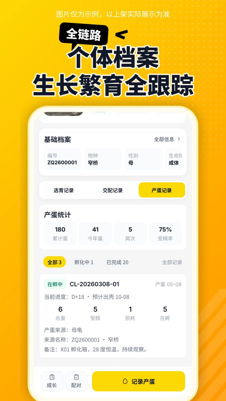 ������1.6.0 ��������