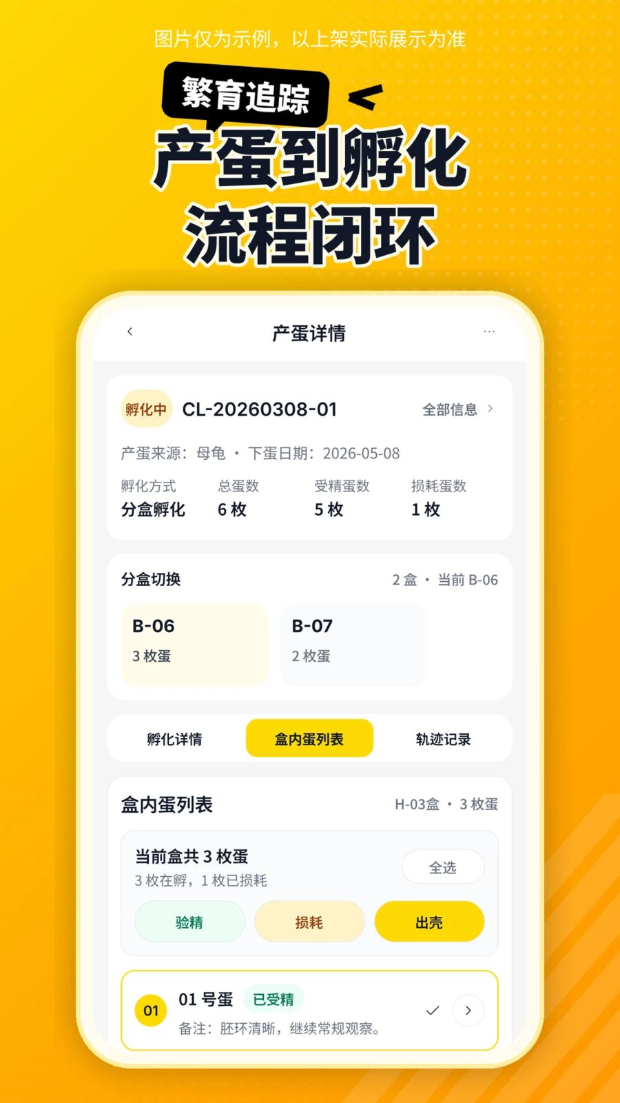 ������1.6.0 ��������