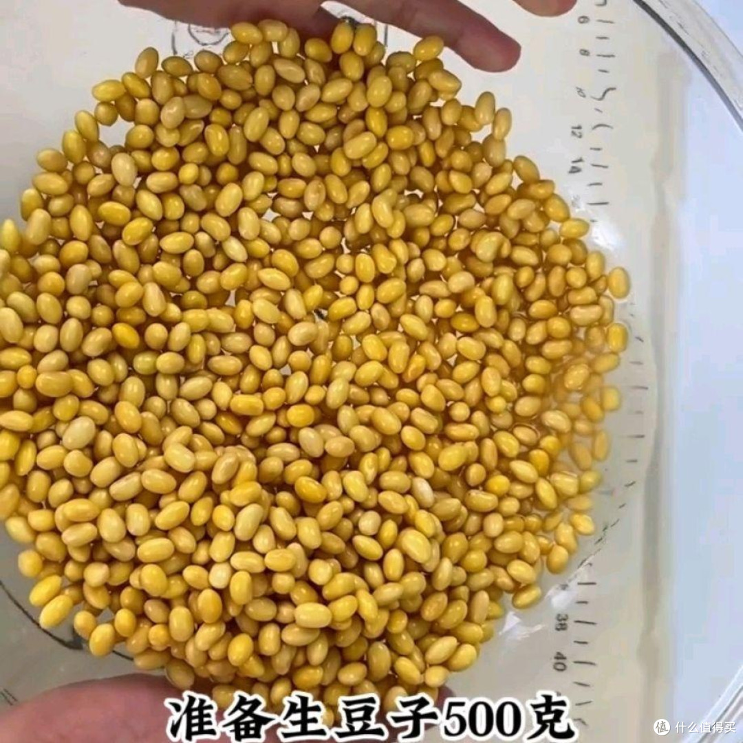 豆蕊米泡发挑选技巧 豆蕊米颗粒展示图