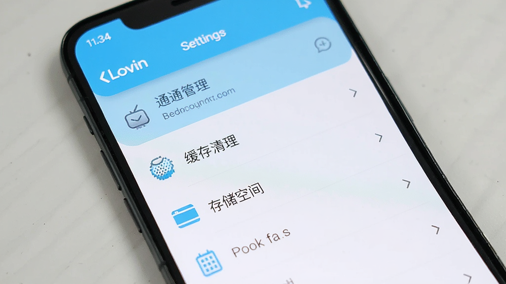 一部手机屏幕展示Lovin应用的设置页面,画面中有通知管理、缓存清理、存储空间等选项列表,界面风格简洁清爽,配色以白色和浅蓝为主,图标设计精细,布局整齐,画质高清,干净无多余元素