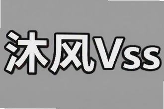 ���Vssרҵ�����޸���1.7���°�����