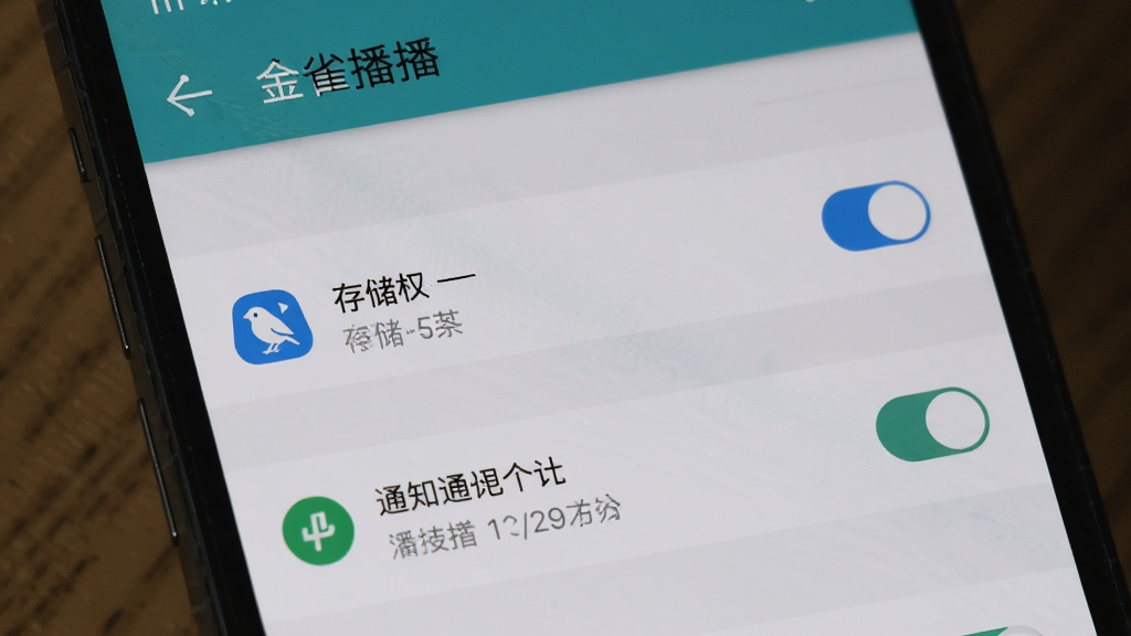 金雀播播在手机上的安装设置界面,画面展示手机设置页面中应用权限管理选项,包含存储权限和通知权限开关,背景为手机系统原生设置界面风格,排版为列表式布局,细节包含权限图标和开关按钮,画质高清,干净,无多余元素