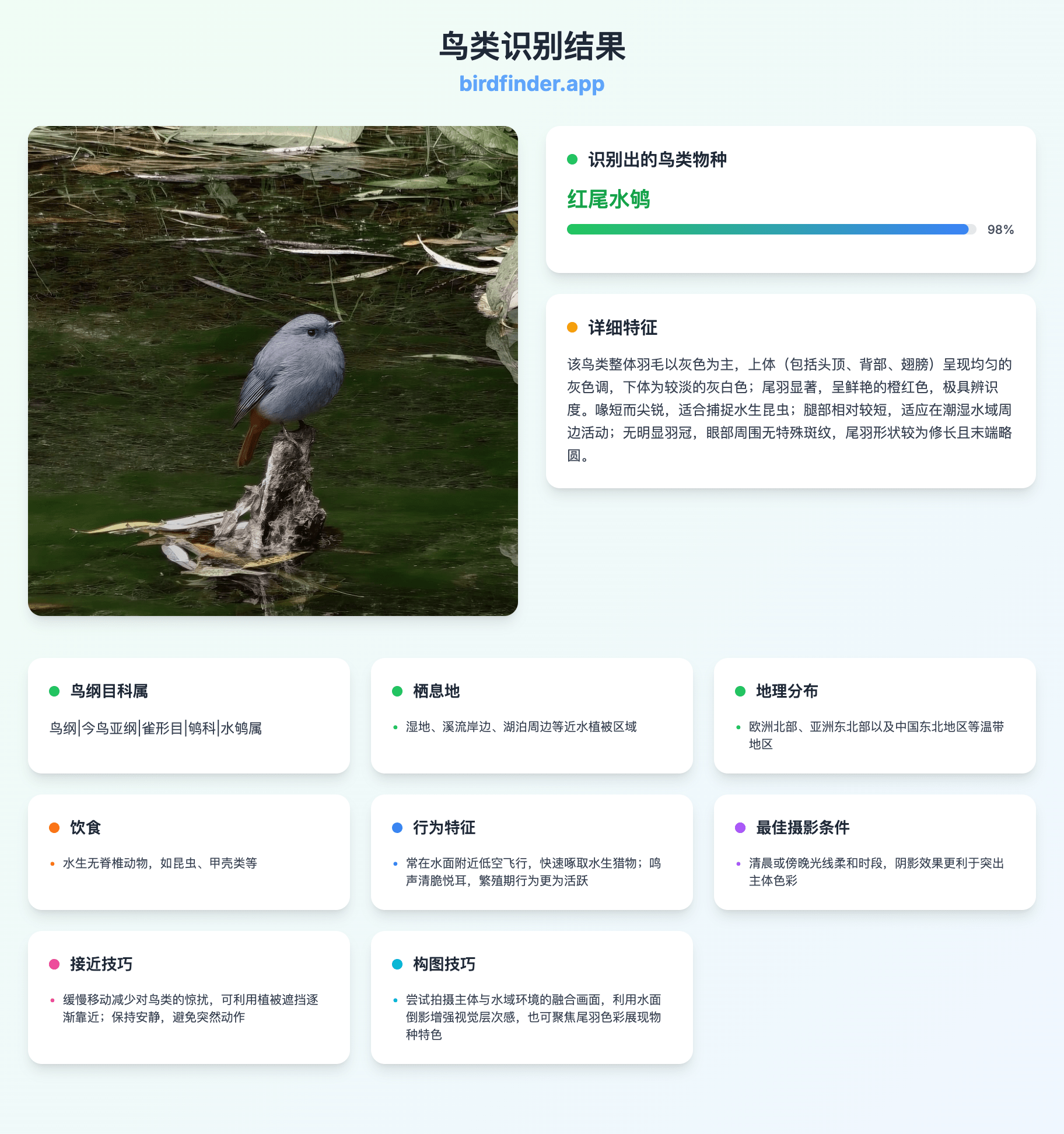 Birdilens ��׿�� ����ʶ������ͼ