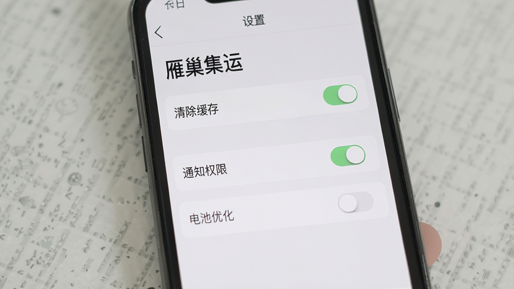 一张展示“雁巢集运”手机应用设置界面的图片,主体为手机屏幕,布局为纵向列表,排版为设置项与开关按钮,风格为极简浅灰质感,细节包括“雁巢集运”标题、清除缓存选项、通知权限开关、电池优化入口,画质清晰,干净,无多余元素