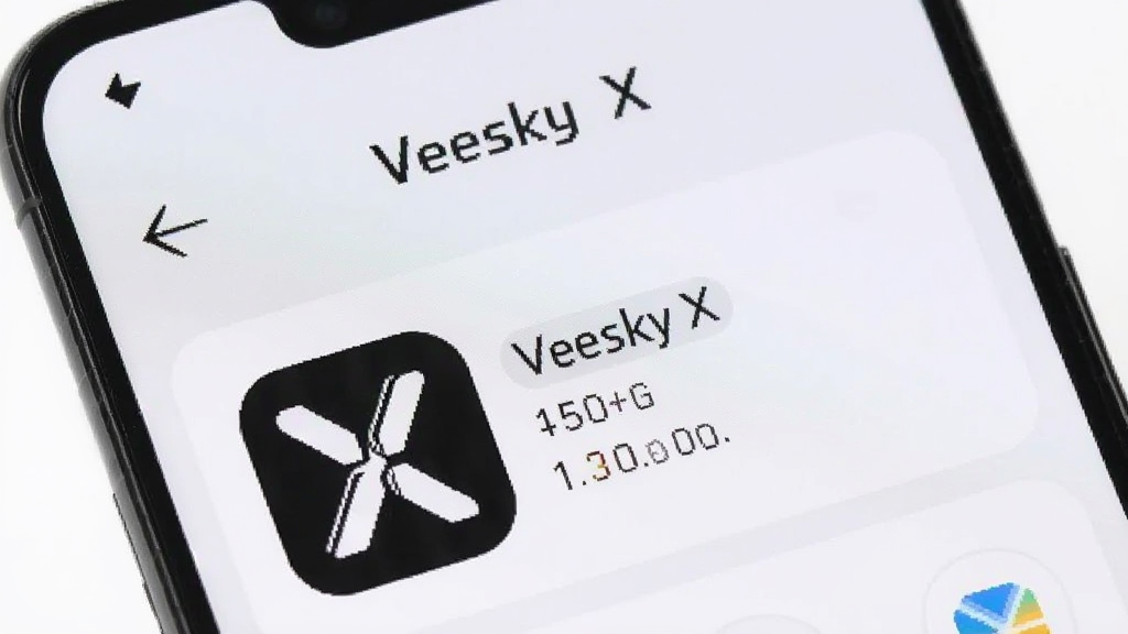 一部手机屏幕显示存储空间管理界面,Veesky X 应用图标旁边显示较小的存储占用数值,手机上方有