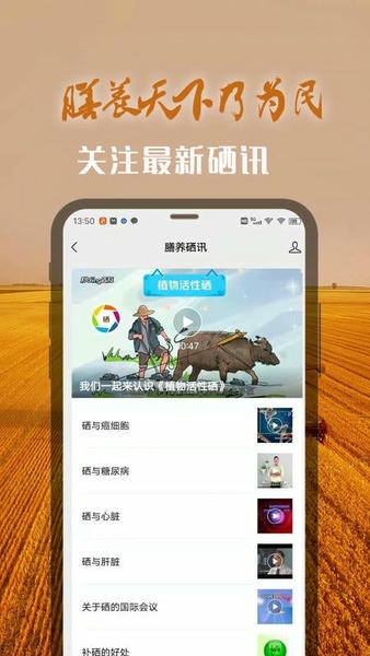 膳安天下 安卓版 店铺管理界面