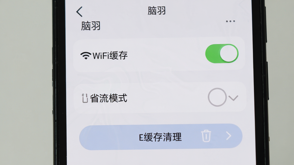 手机屏幕中“脑羽”设置界面,显示WiFi缓存开关、省流模式选项、缓存清理按钮,主体居中,竖版手机布局,简约风格,浅色背景,细节清晰,高清画质,干净无多余元素