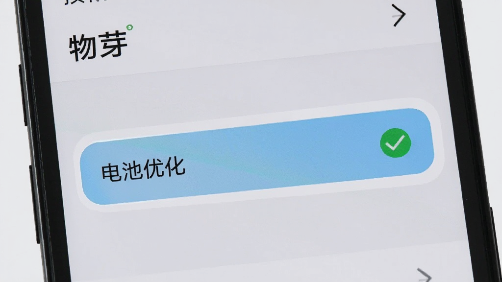 手机屏幕展示“物芽”设置页面,其中“电池优化”选项被高亮标注,旁边有对勾图标;背景浅灰,风格简洁,细节清晰,画质干净,无多余元素