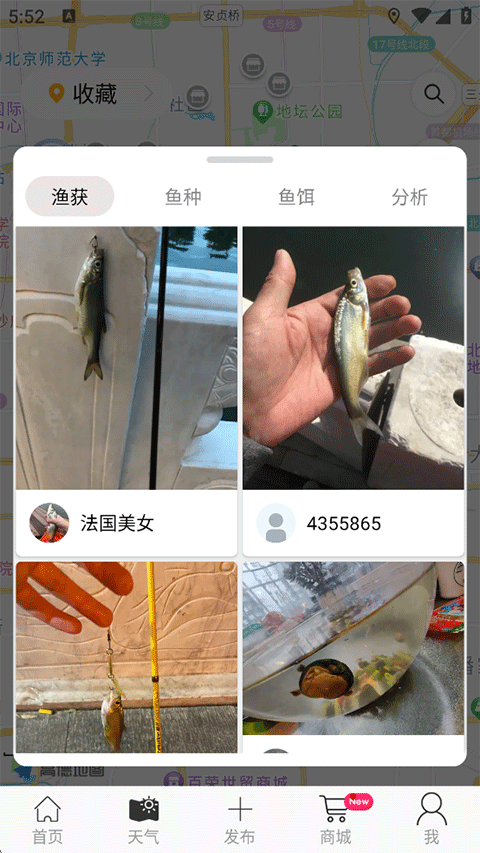福渔禧获 安卓版 海鲜资讯界面