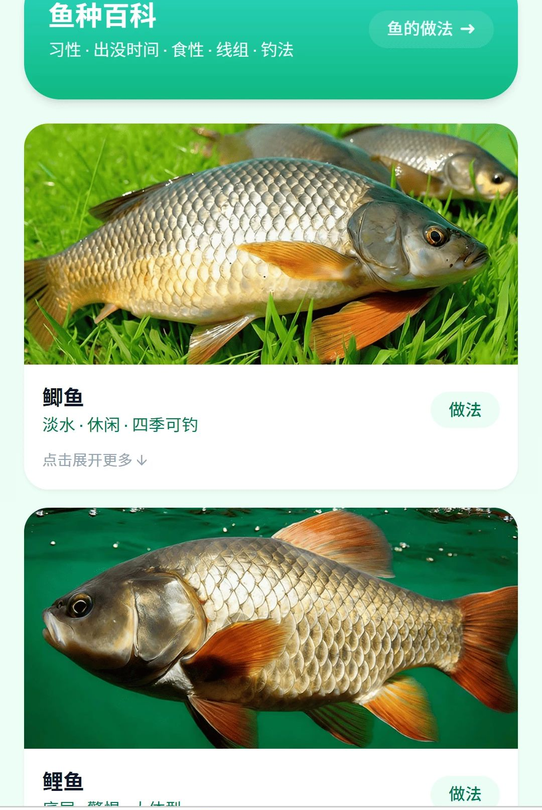 ��������1.0.0 ������ʳ