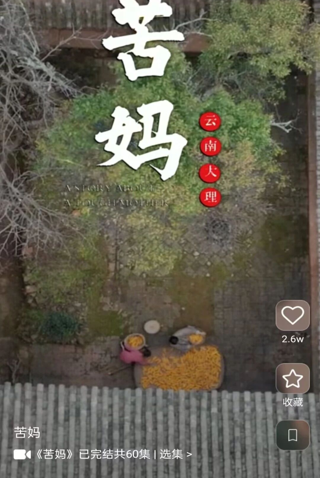 ��ȫ����ѿ��̾�1.0.0 �̾���ѿ�