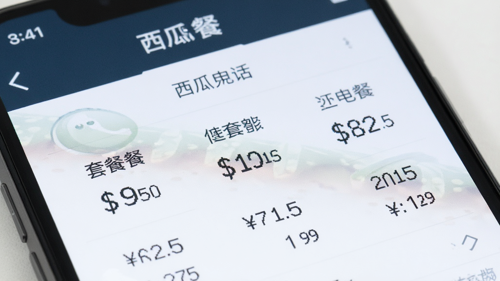 手机屏幕特写,显示“西瓜电话”资费说明页面,页面有清晰的套餐列表和价格数字,布局整齐,风格商务简洁,细节上数字和文字清晰可辨,画质干净,无多余元素