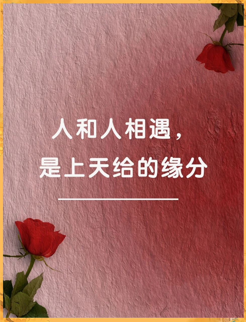 有幸相伴 珍惜相遇 温暖感悟