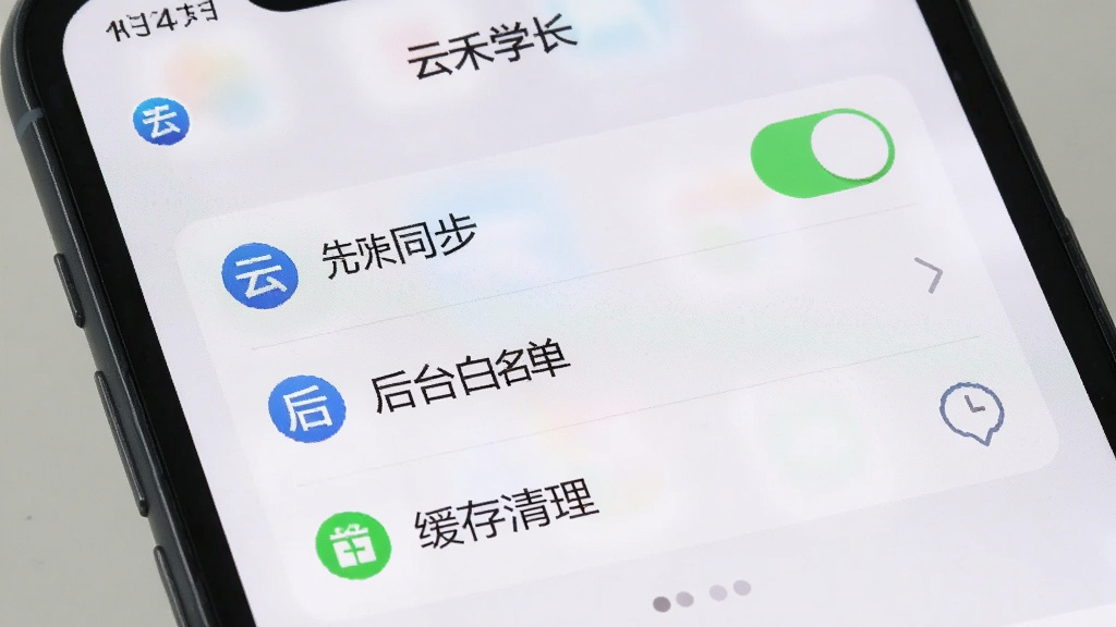 手机屏幕显示“云禾学长”设置界面,包含云同步开关、后台白名单、缓存清理等选项,界面为浅色主题,图标清晰,布局整齐,风格简约,画质干净,无多余装饰