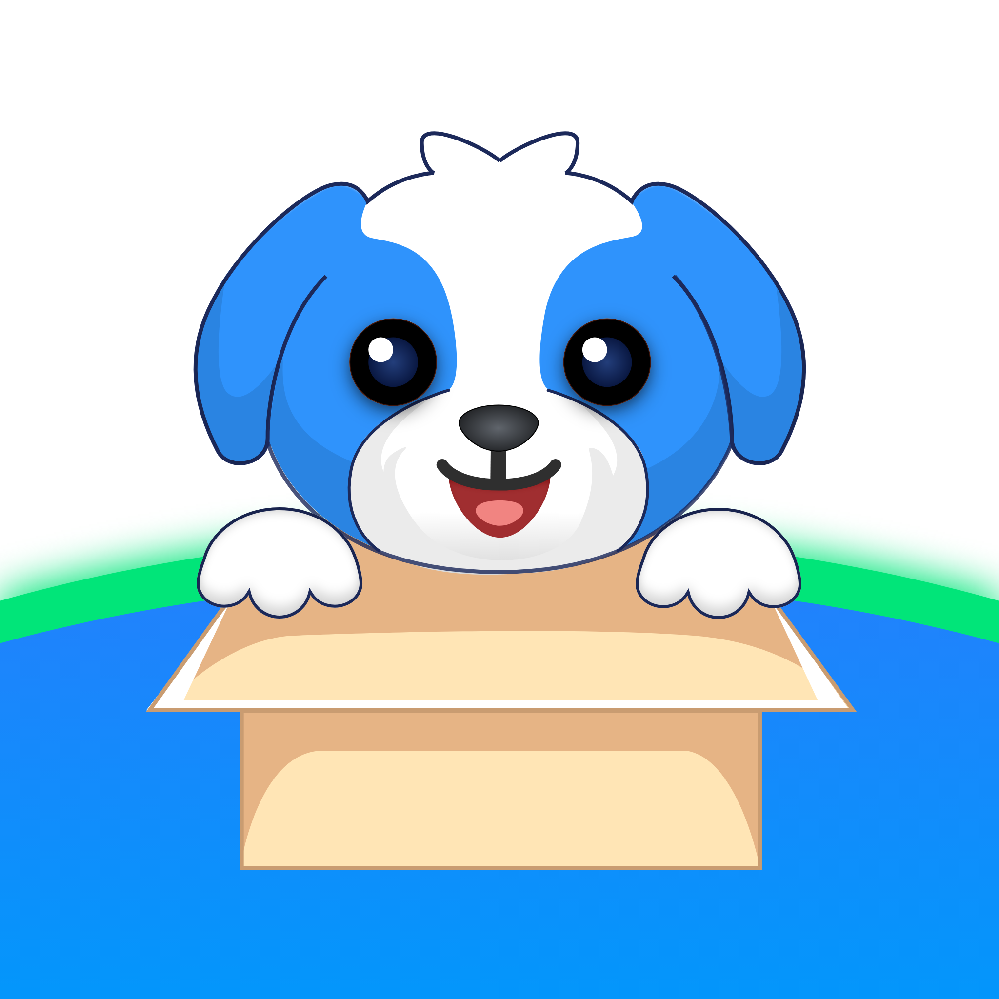 �ʹﹷ3.1.5 ����������