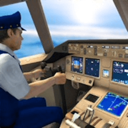 ����ģ����Flight Simulator3.19.2 ��ʵ��������