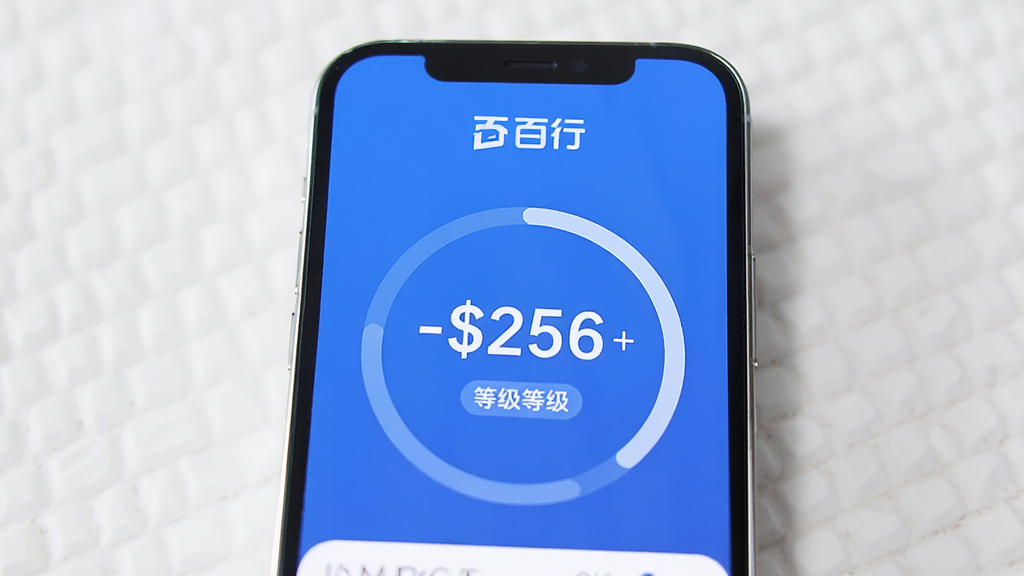 一部智能手机展示信用评分查询结果页面,主体为手机正面,布局上屏幕中央显示大号数字评分和环形进度条,排版上顶部有