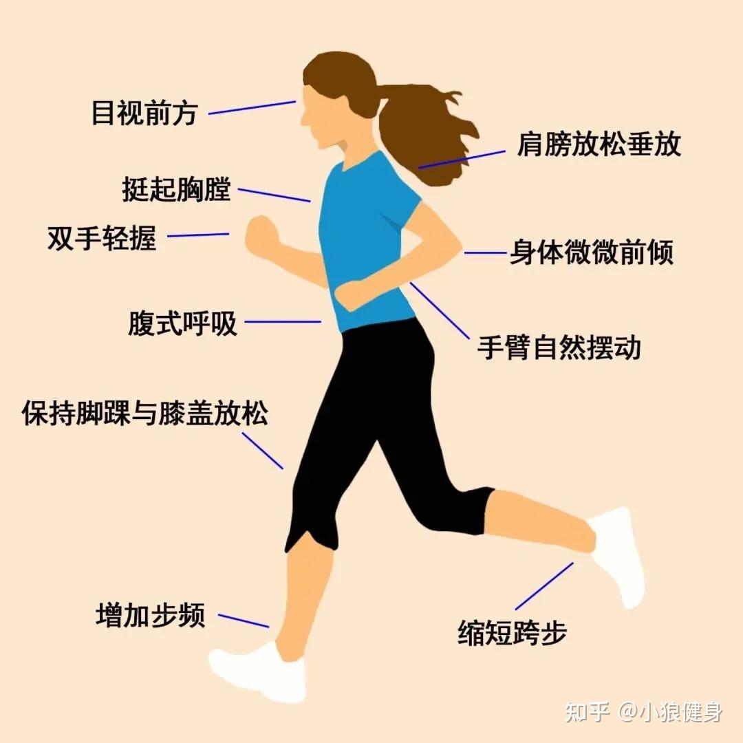 阳光跑新手最佳时间与正确姿势入门指南配图