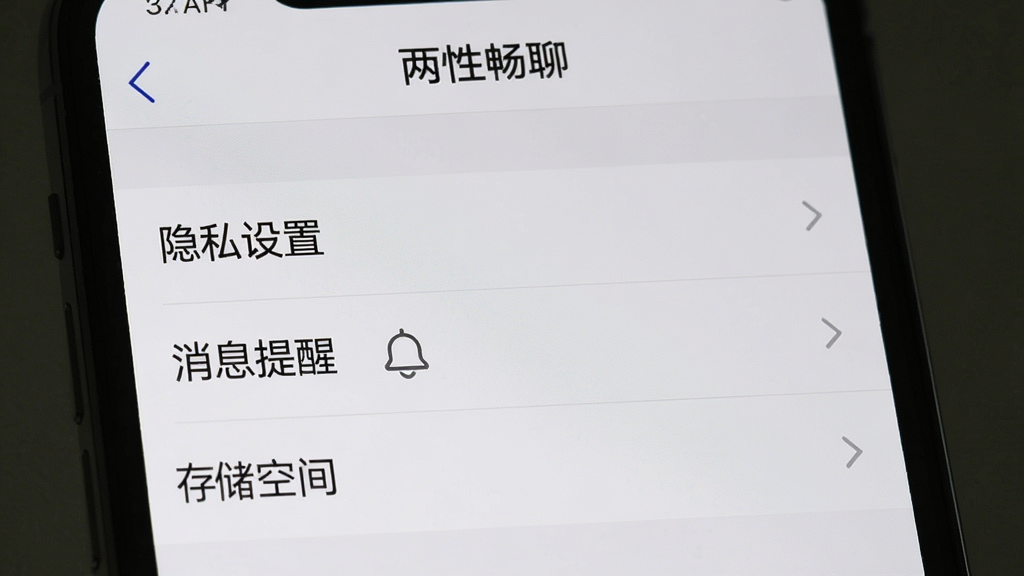 一张手机屏幕截图风格的图片,画面显示“两性畅聊”的设置页面,页面上有“隐私设置”、“消息提醒”、“存储空间”等选项,背景为浅灰色,界面简洁,文字清晰可辨,风格写实,画质高,干净无多余元素