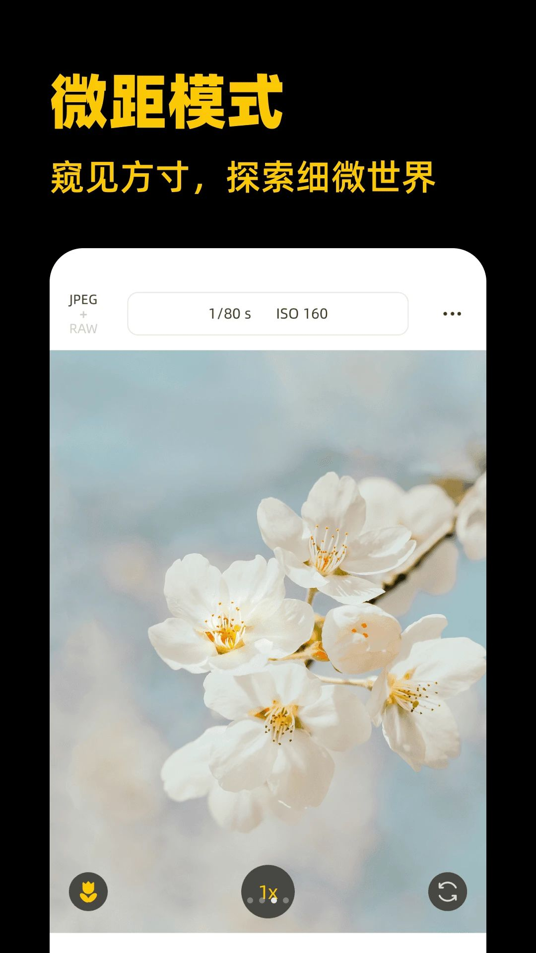 ��Լ3.2.5 �罻Լ�ụ��