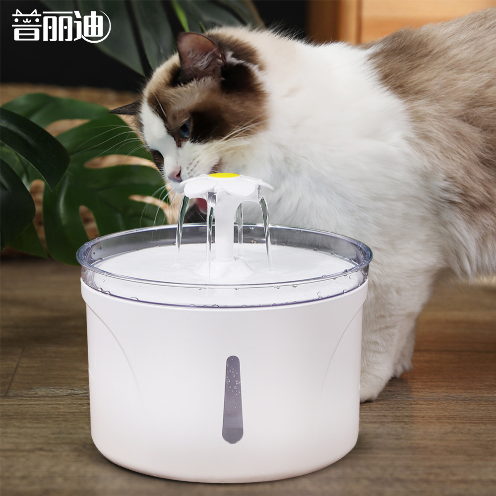 宠小吉智能饮水机猫咪喝水场景图