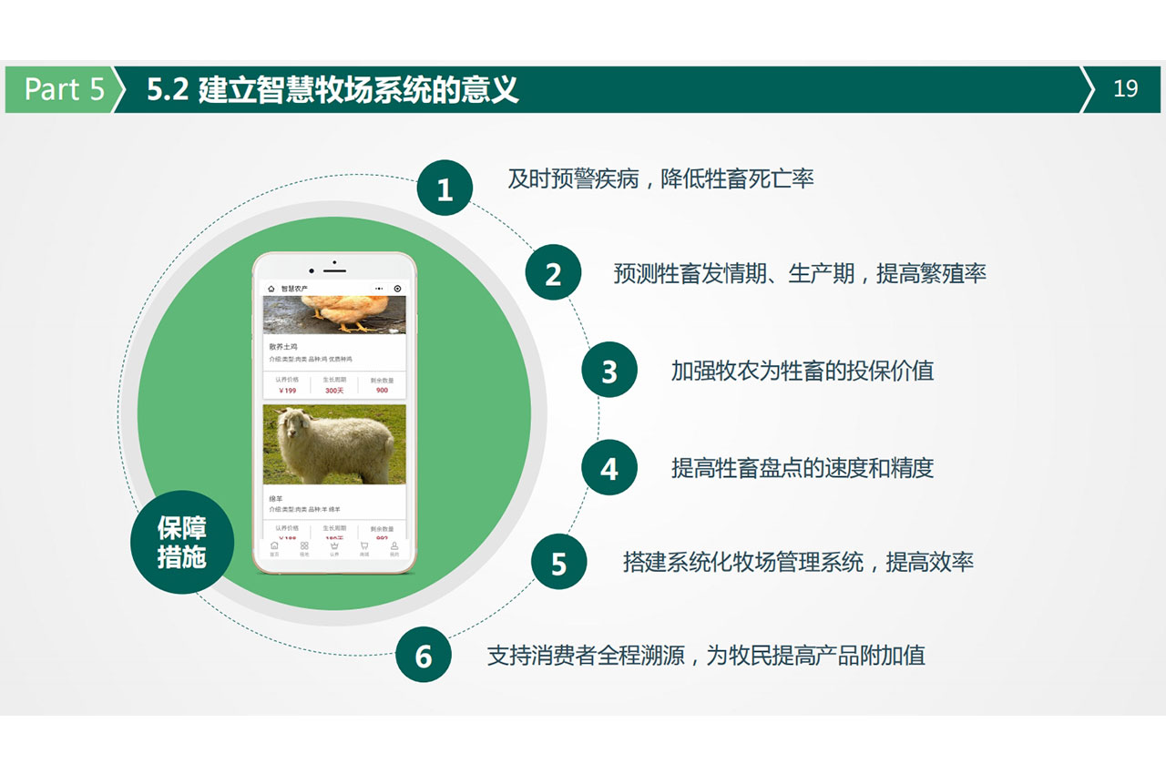 领跑羊 行业领先品牌成功秘诀 品牌成长实战经验分享