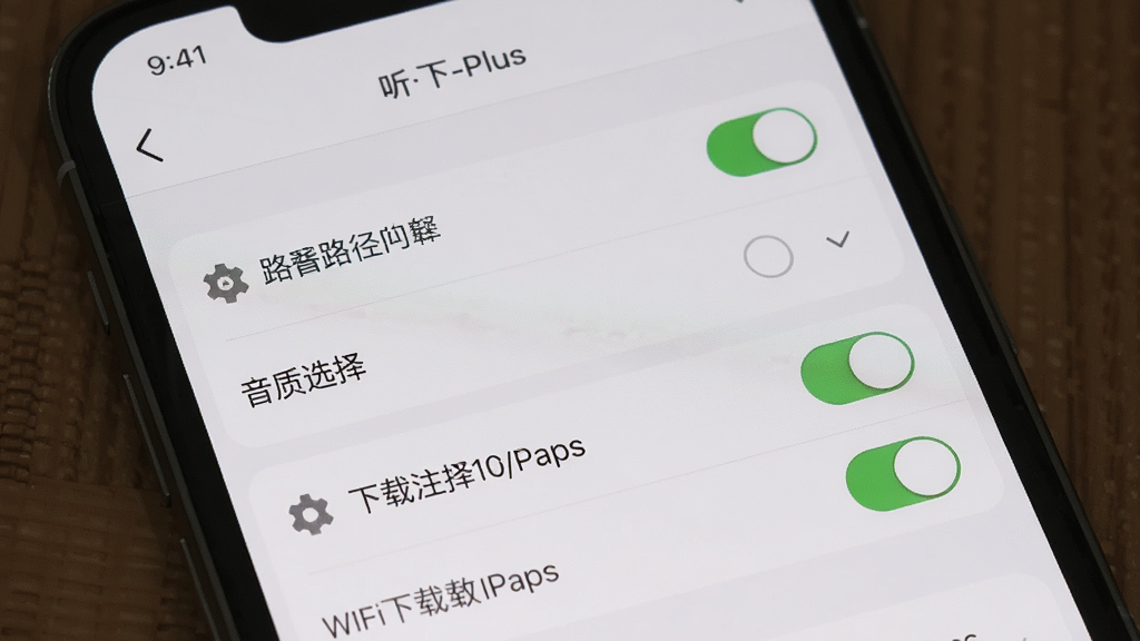 手机屏幕展示「听下-Plus」设置页面,主体为设置选项列表,布局为分组式排列,包含下载路径、音质选择、WiFi下载开关等选项,排版清晰规范,风格为素雅极简,细节包括开关按钮、路径选择器、齿轮图标,画质高清,画面干净,无多余元素