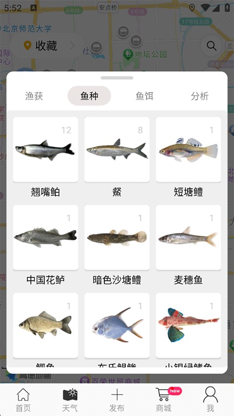 渔在哪 安卓版 社区渔获分享